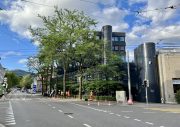 IMG 7481